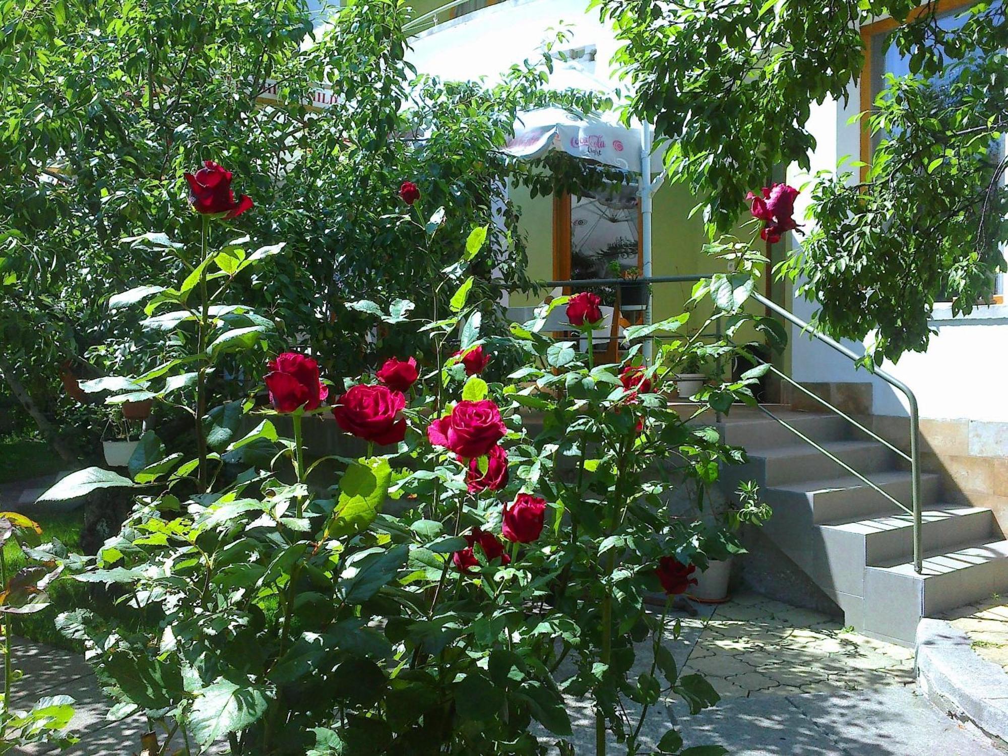 Family Hotel Sonata Samokow Zewnętrze zdjęcie